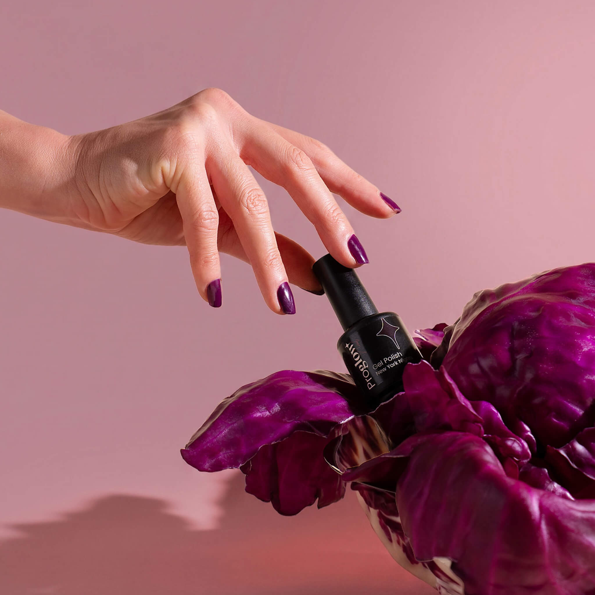 Manucure Violet Ongles Automne